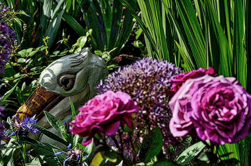 gartenpraxis-4